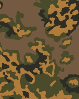 German Eichenlaub Autumn Camouflage