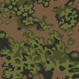 German-Eichenlaub-Summer-Camo-thumb.jpg