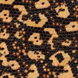 Gila-Monster-24.jpg