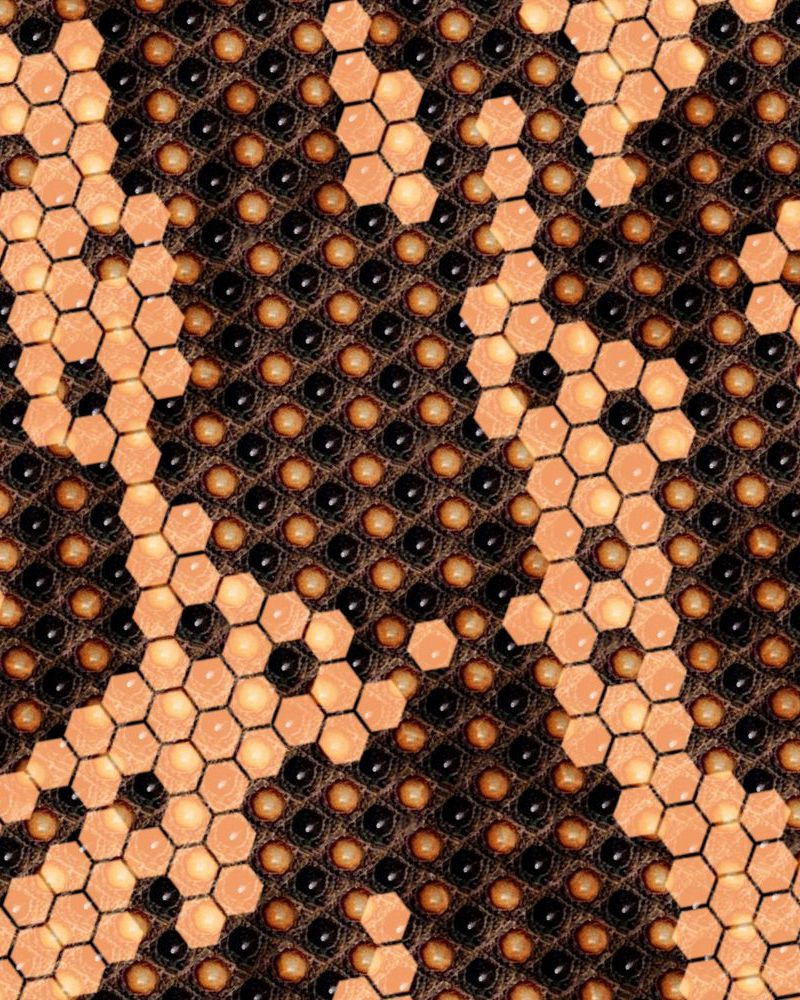 Gila Monster Skin 22