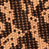 Gila-Monster-Skin-22.jpg