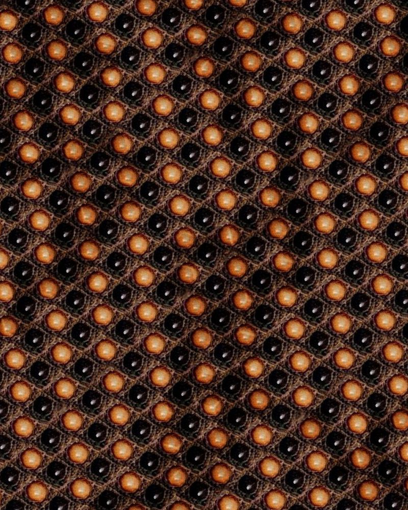 Gila Monster Skin 23