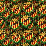 Gimnastic-de-Tarragona.jpg