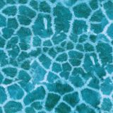 Giraffe-Fur-23.jpg