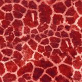 Giraffe-Fur-25.jpg