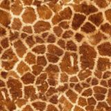 Giraffe-Fur.jpg