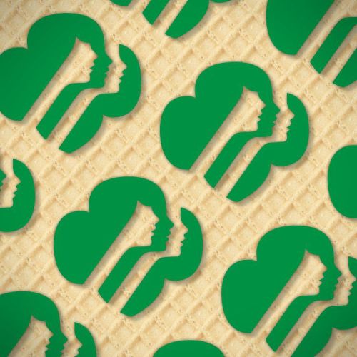 Girl Scouts 24