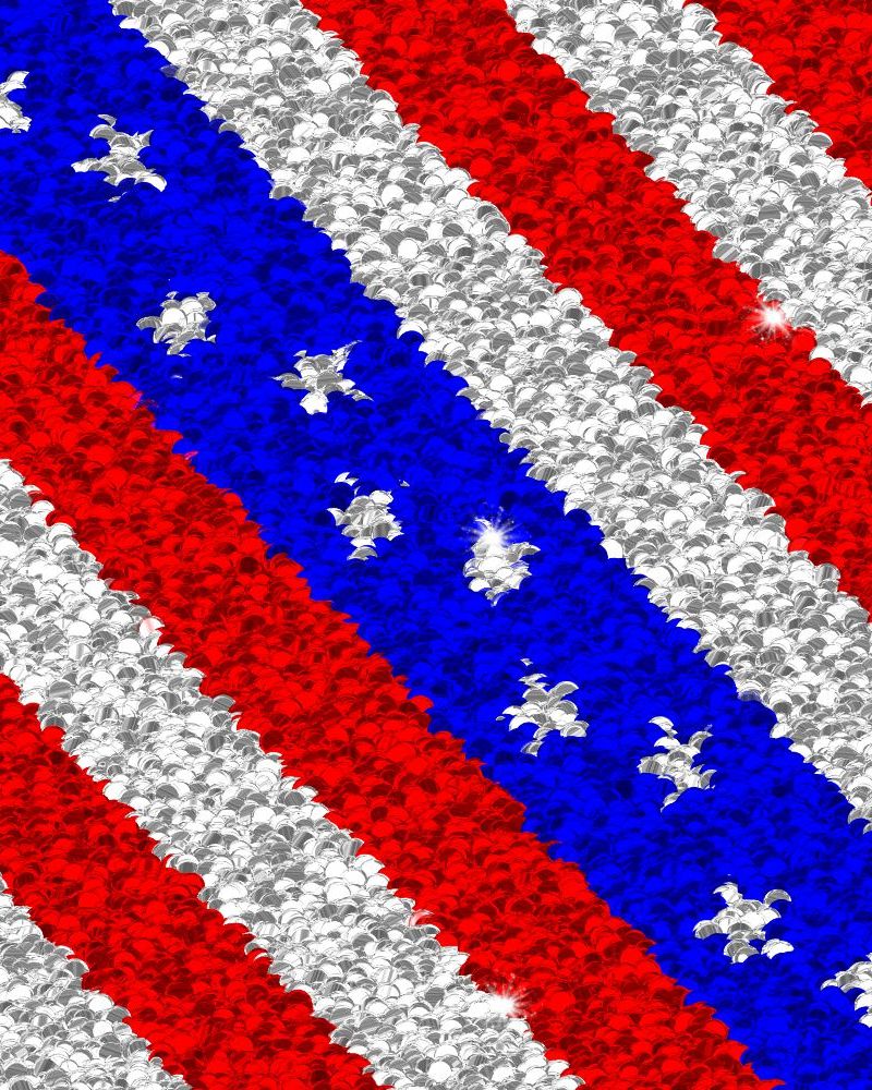Glitter US Flag 32