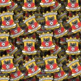 Go-Ahead-Eagles.jpg