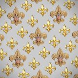 Gold-BSA-Logo-25.jpg