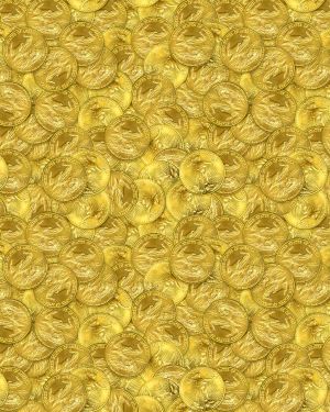 Gold Coins 24