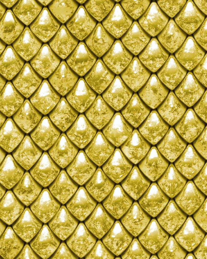 Gold Dragon Scales