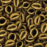 Gold-Finger-Lips.jpg