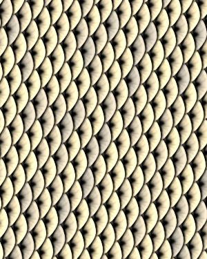 Gold Fish Scales 22