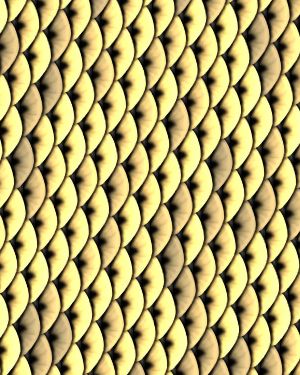 Gold Fish Scales 23