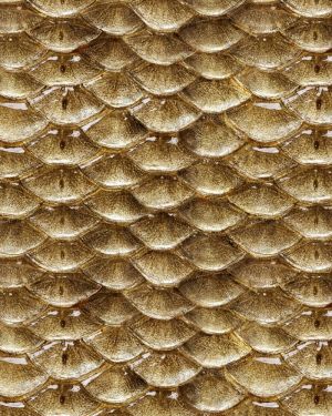 Gold Fish Scales 24