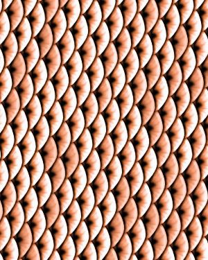 Gold Fish Scales 25