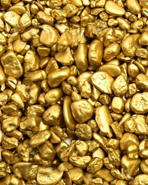 Gold Nuggets 22