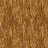 Golden-Brown-Hair.jpg