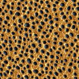 Golden-Dragon-Skin.jpg