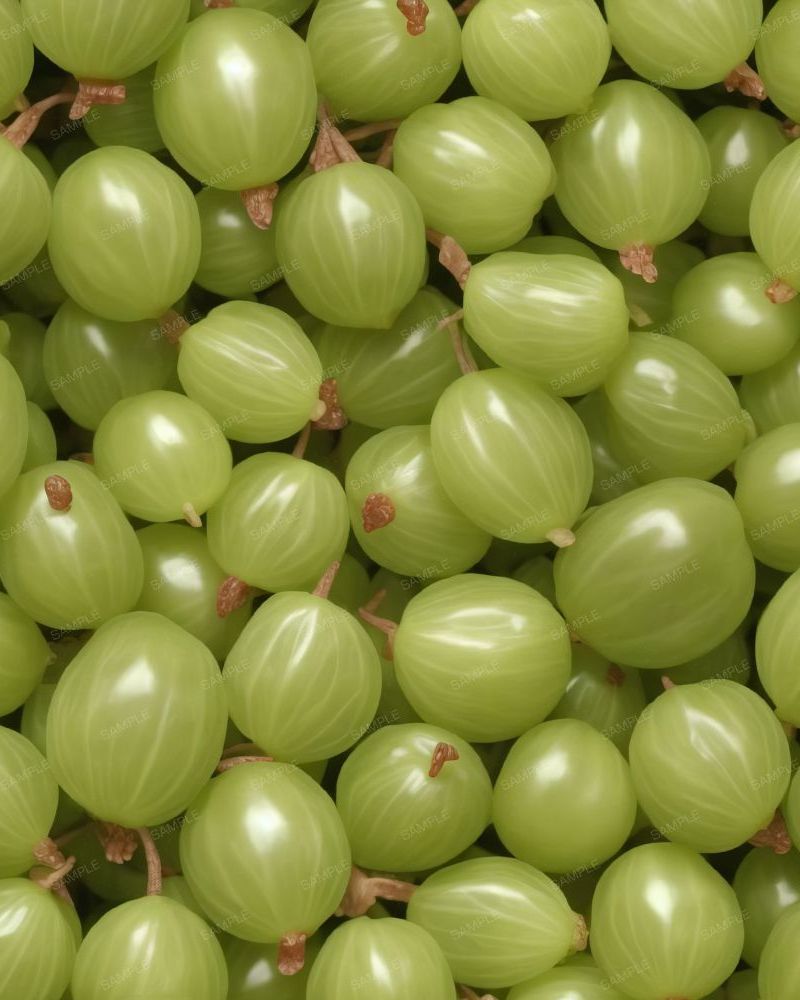 Gooseberries 42