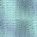 Gradient-Gator-23.jpg