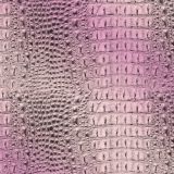 Gradient-Gator-24.jpg