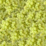 Grapes-22.jpg