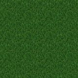 Grass-26.jpg