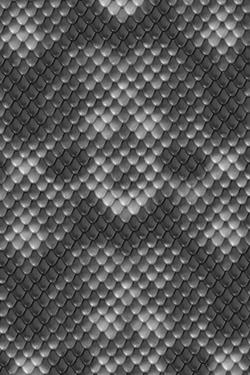 Gray Snakeskin Overlay