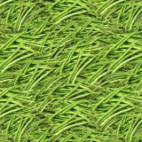 Green-Beans-22.jpg