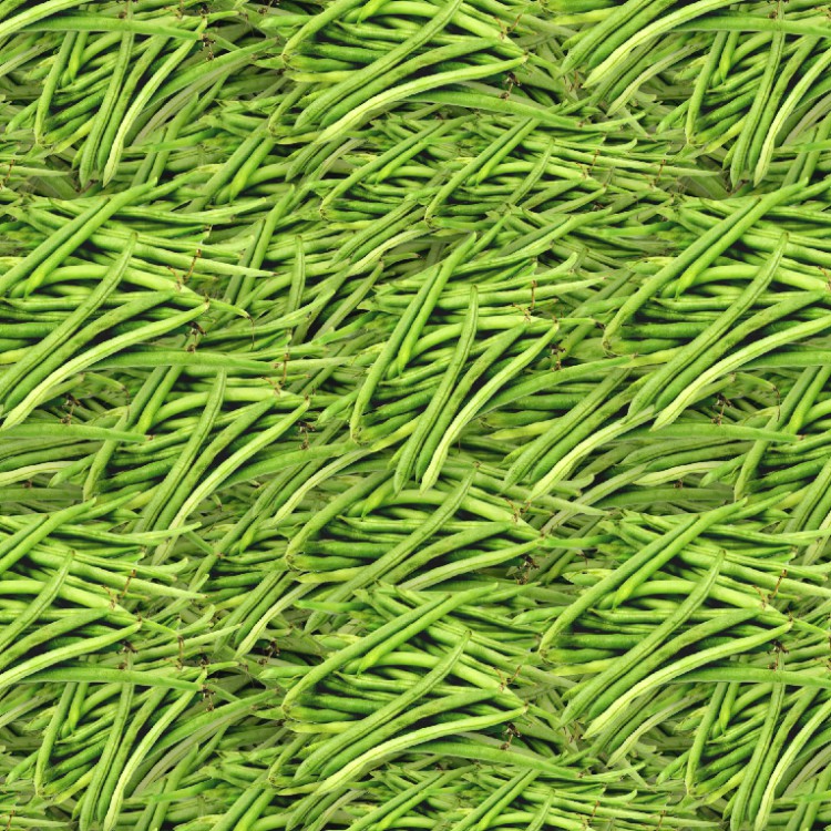 Green Beans 22