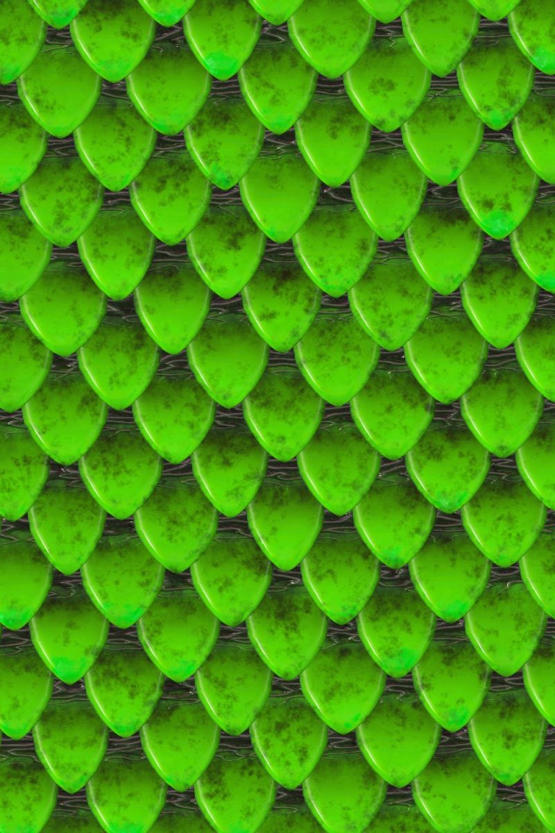 Green Dragon Scales