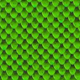 Green-Dragon-Scales.jpg