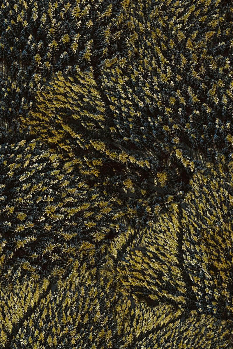 Green Hills of Earth 22 Camouflage