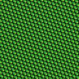 Green-Mamba-Snake-Skin-22.jpg