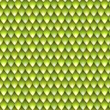 Green-Mamba-Snake-Skin-24.jpg