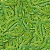 Green-Snakes.jpg