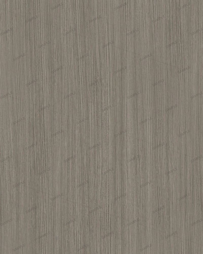 Grey Elm