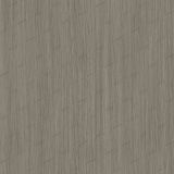 Grey-Elm.jpg