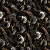 Griffin-22.jpg