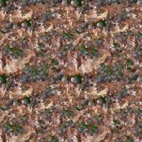 Ground-20.jpg