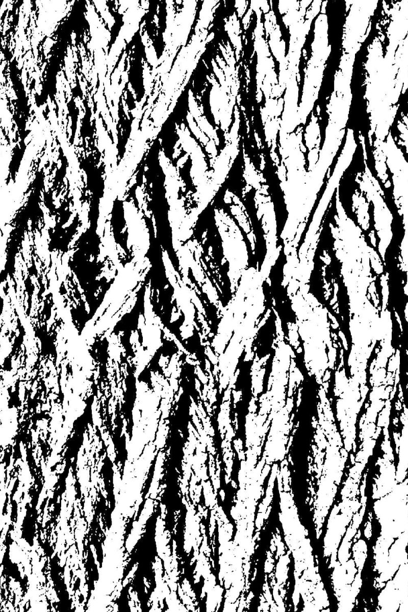 Grunge Bark Overlay 22