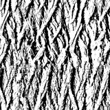 Grunge-Bark-Overlay-22.jpg