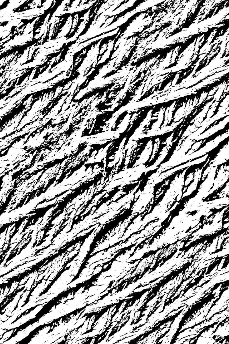 Grunge Bark Overlay 23