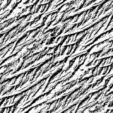 Grunge-Bark-Overlay-23.jpg