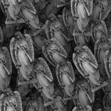 Guardian-Angels-22.jpg