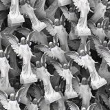 Guardian-Angels-23.jpg