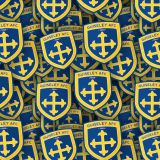 Guiseley-AFC.jpg