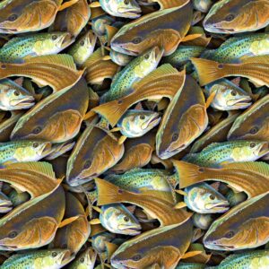 Gulf Coast Fish 22